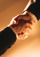 The Cambridge Perspective - Job Search